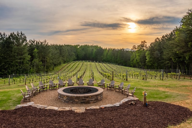 Mountain Brook Vineyards preview 3