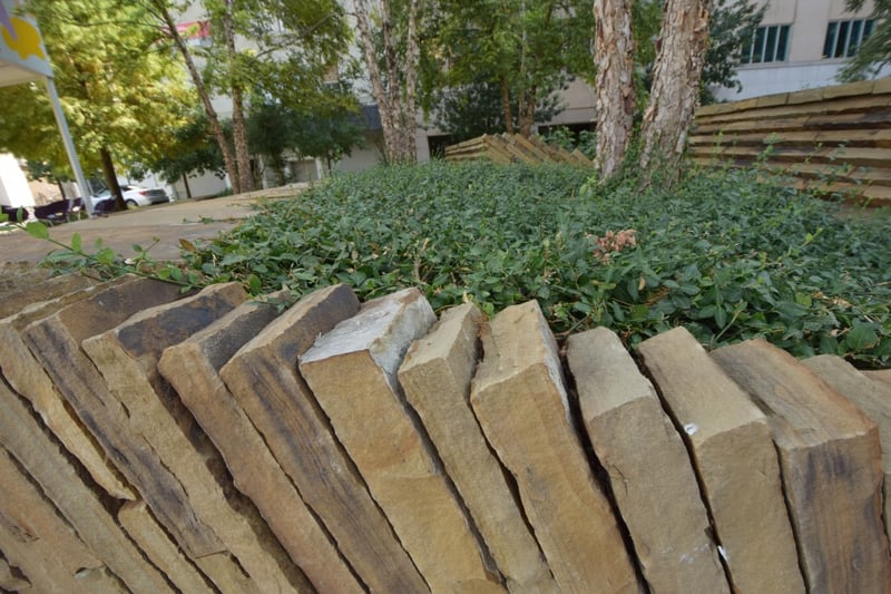 Kerr Park preview 5