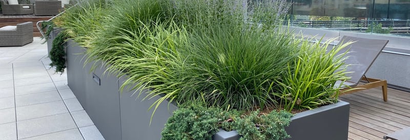 Myriad Gardens preview 15