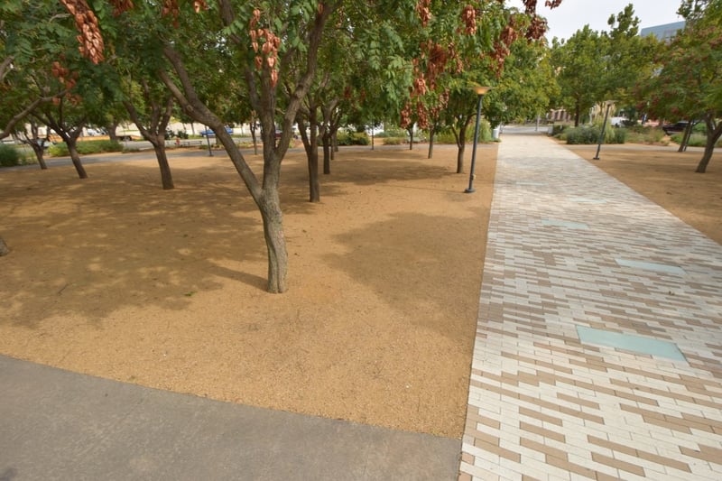 Myriad Gardens preview 6