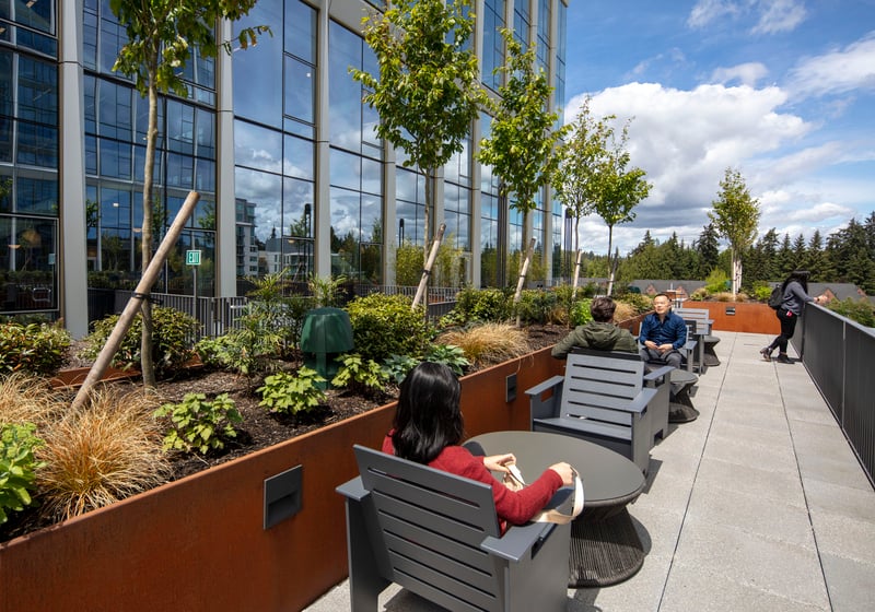 1001 Amazon Tower, Seattle preview 5