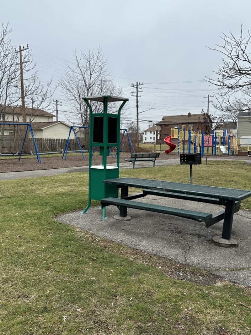 Detroit Park Coalition preview 5