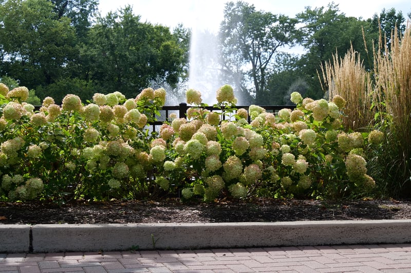 Cincinnati Zoo and Botanic Garden