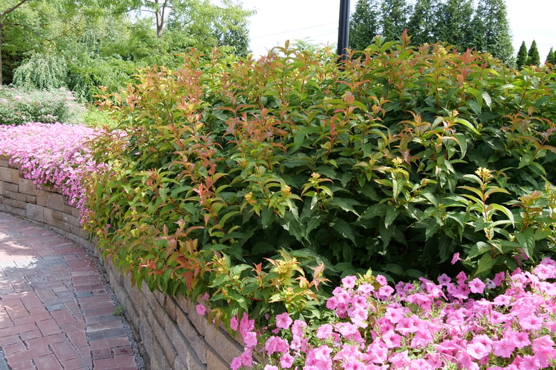 Cincinnati Zoo and Botanic Garden preview 3