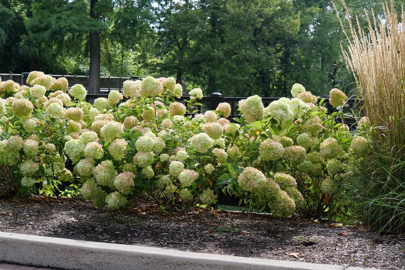 Cincinnati Zoo and Botanic Garden preview 4
