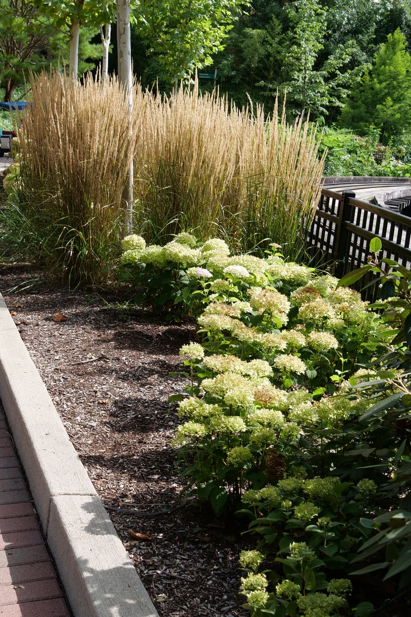 Cincinnati Zoo and Botanic Garden preview 5