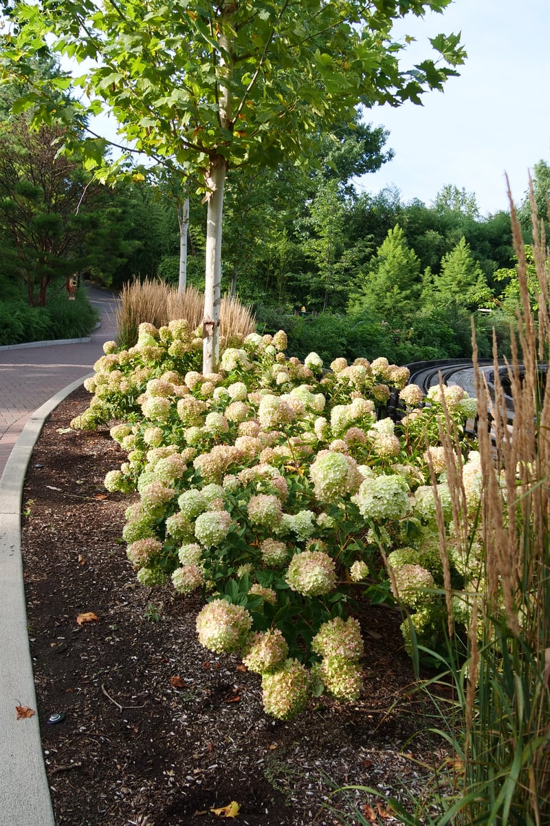 Cincinnati Zoo and Botanic Garden preview 6
