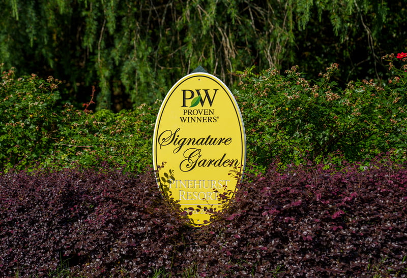 Pinehurst Resort and Golf Club