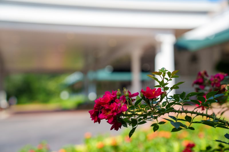 Pinehurst Resort and Golf Club preview 38