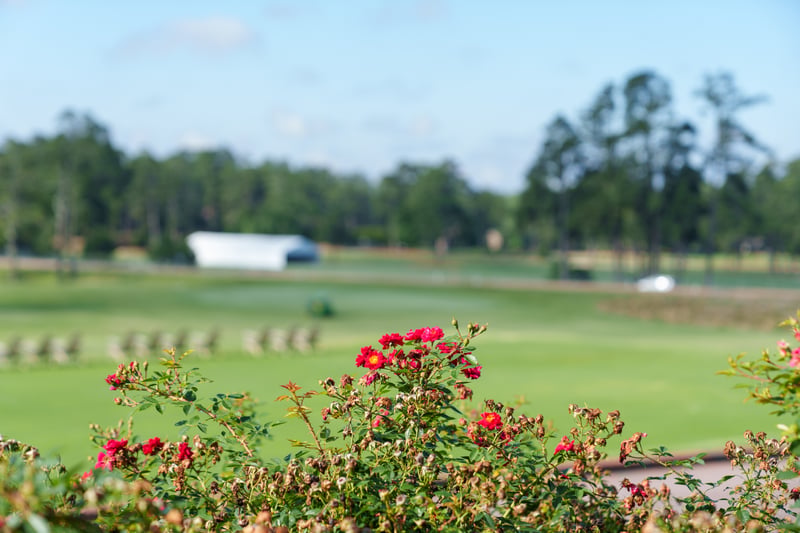 Pinehurst Resort and Golf Club preview 52