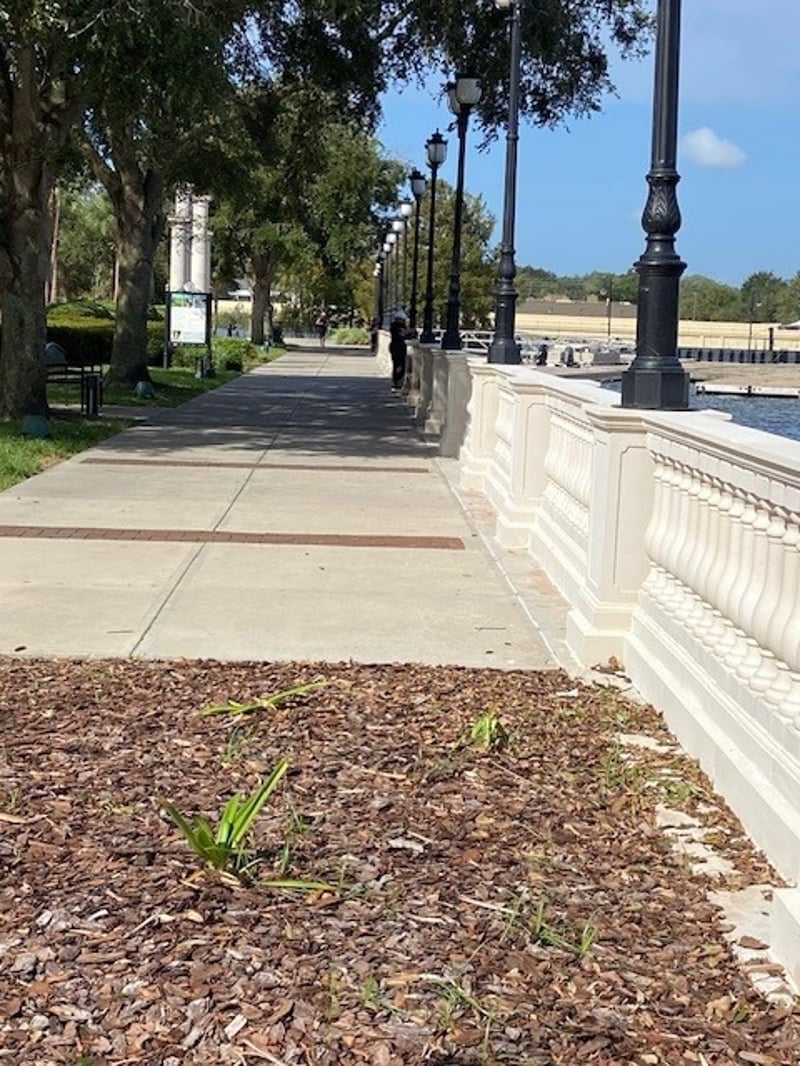 Cranes Roost Park, Altamonte Springs preview 4