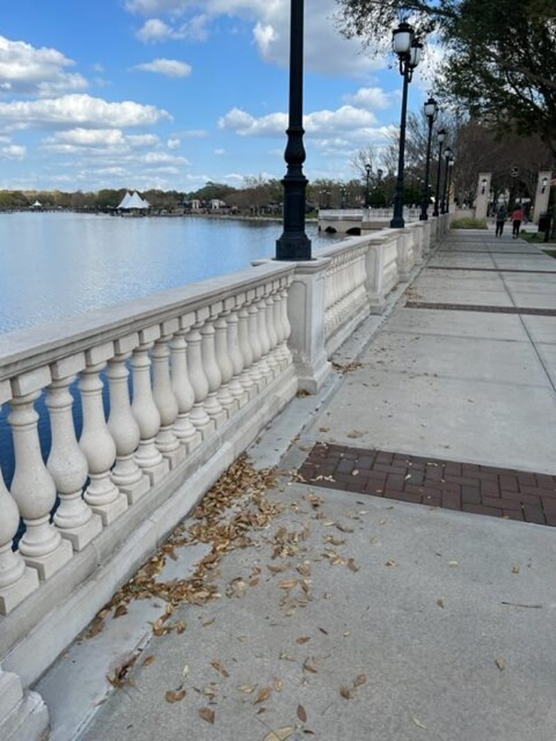 Cranes Roost Park, Altamonte Springs preview 5