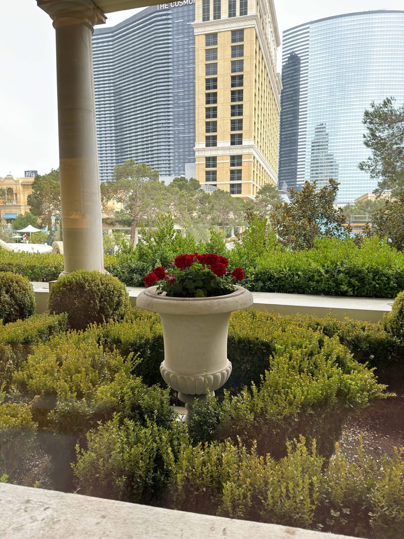 COMO Poolside Café & Bar, Bellagio, Las Vegas preview 4