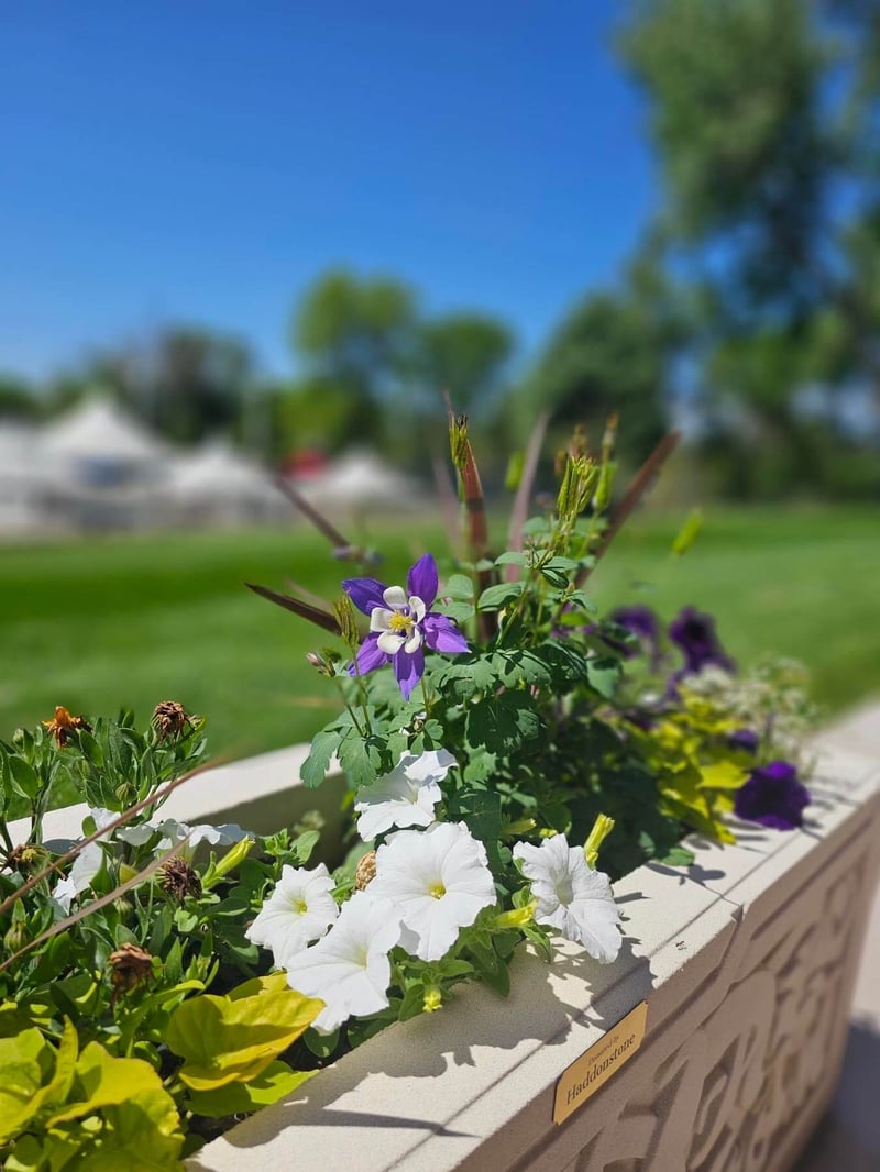 Pueblo Country Club, Pueblo, Colorado preview 8