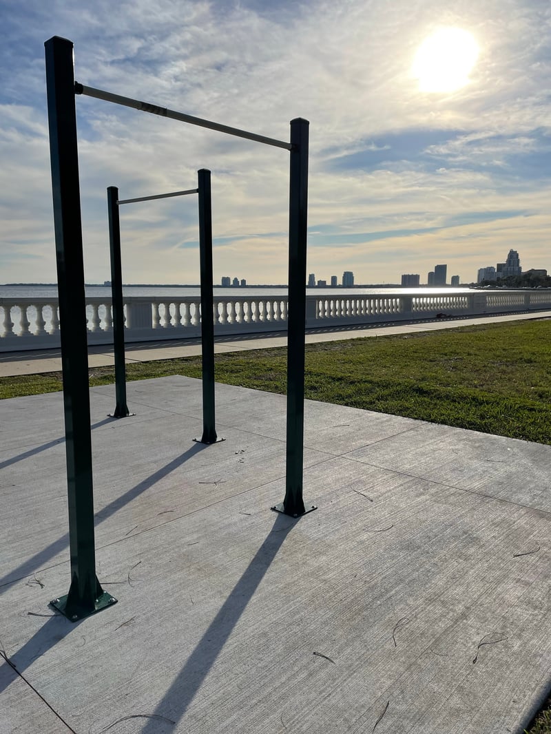 City of Tampa  preview 2