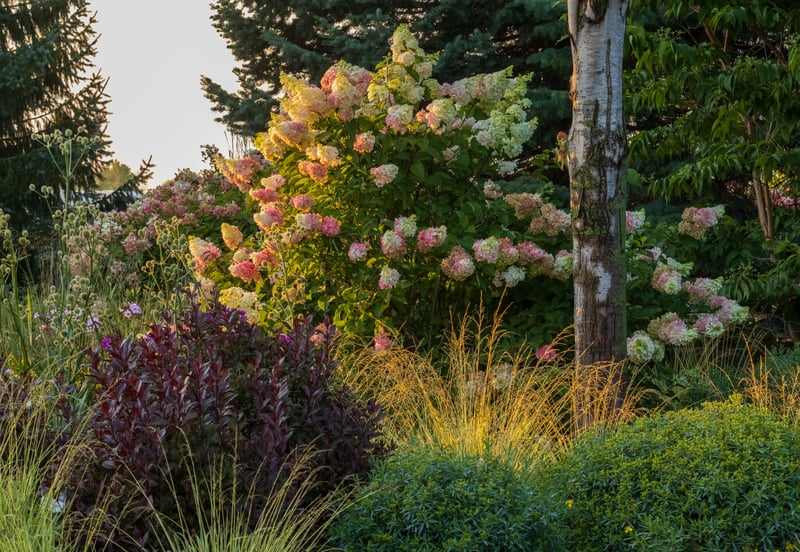 Bailey Nurseries Display Garden
