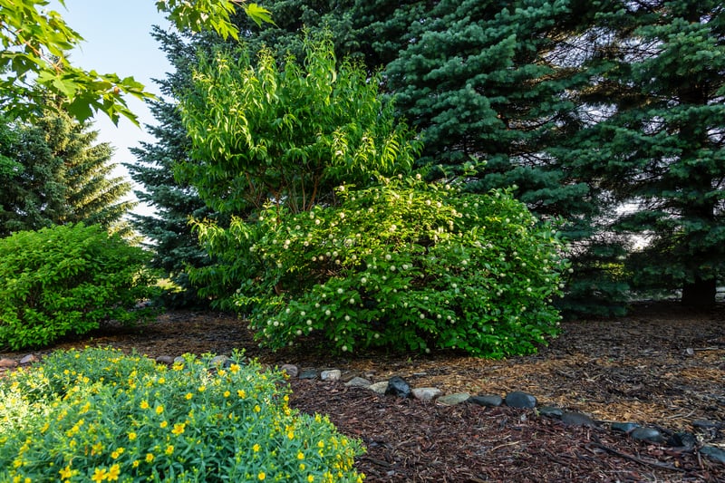 Bailey Nurseries Display Garden preview 2