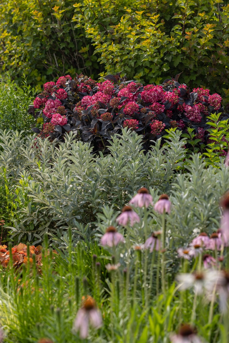 Bailey Nurseries Display Garden preview 4
