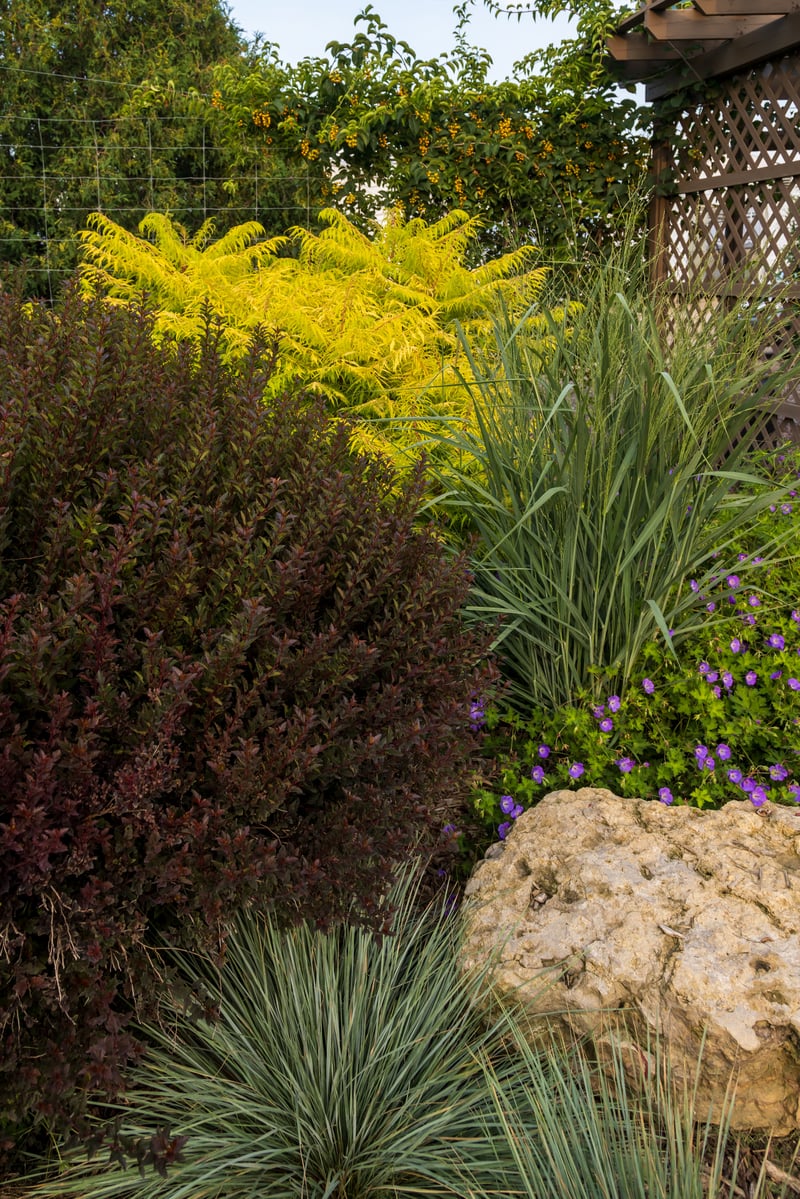 Bailey Nurseries Display Garden preview 5