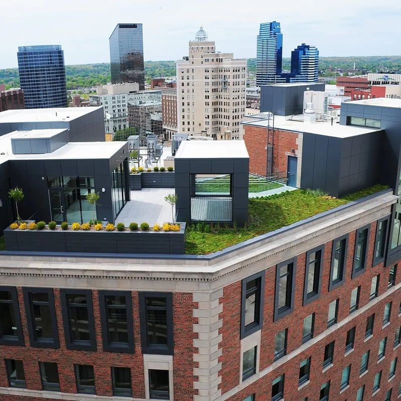 Morton Condos