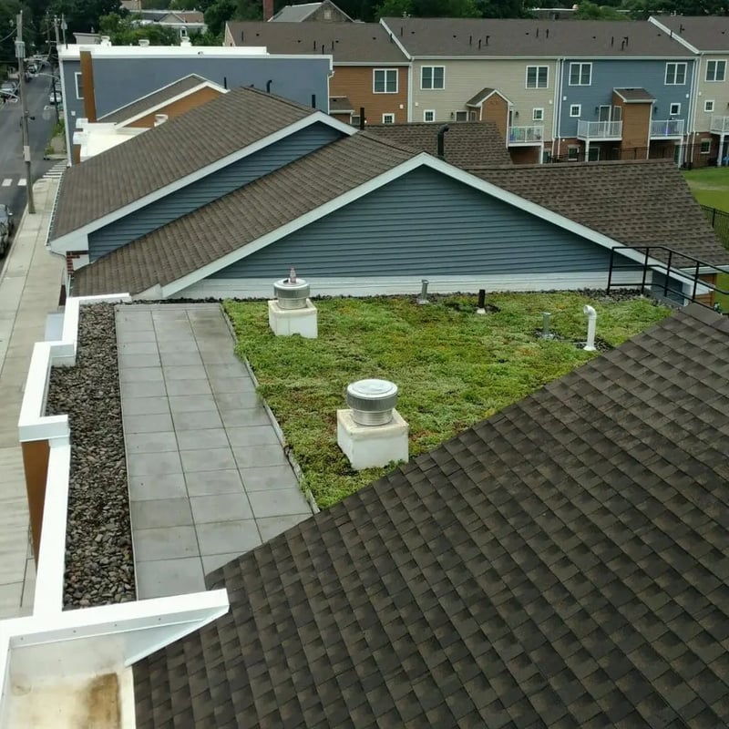 Queen Lane Apartments
