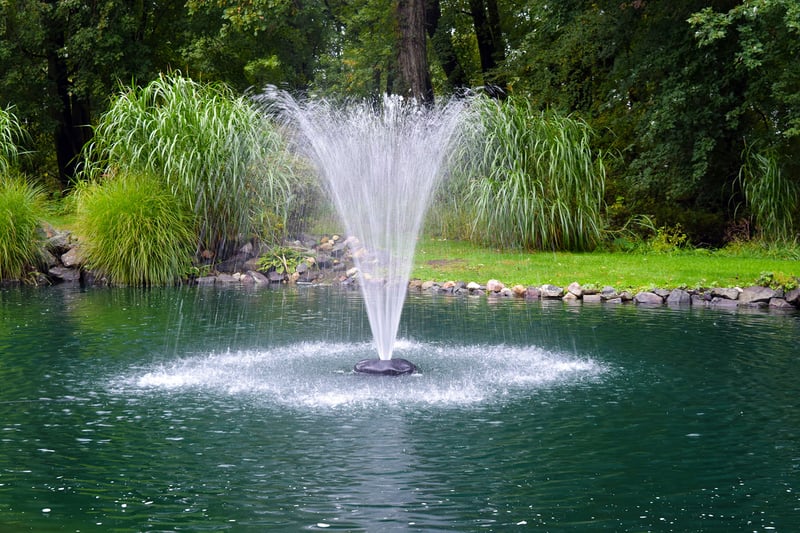 Lake and Pond Inspiration preview 4