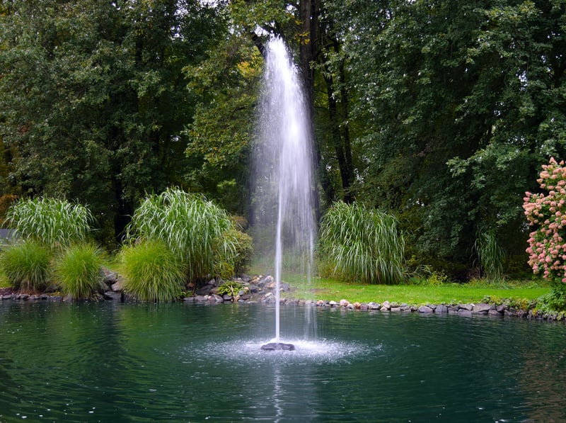 Lake and Pond Inspiration preview 5
