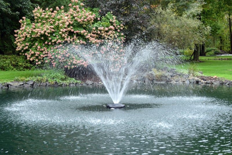 Lake and Pond Inspiration preview 6