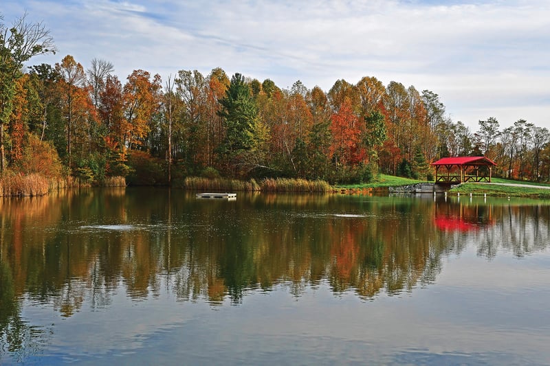 Lake and Pond Inspiration preview 7
