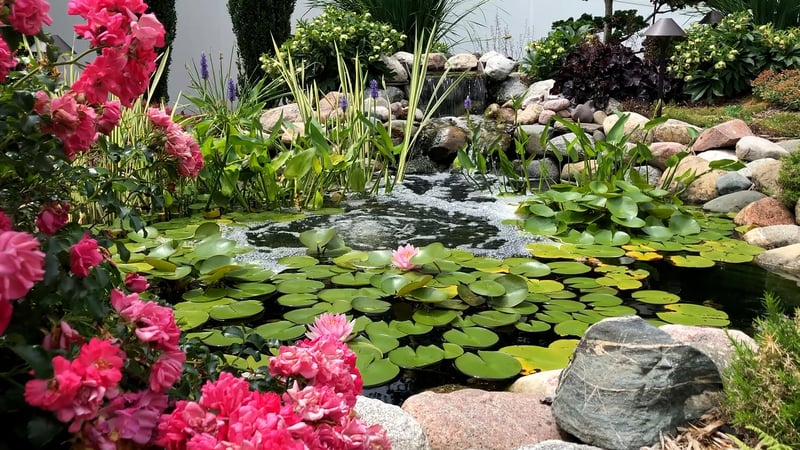 Water Gardening Inspiration