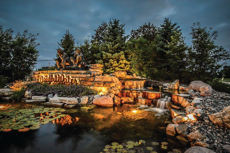 Water Gardening Inspiration preview 10