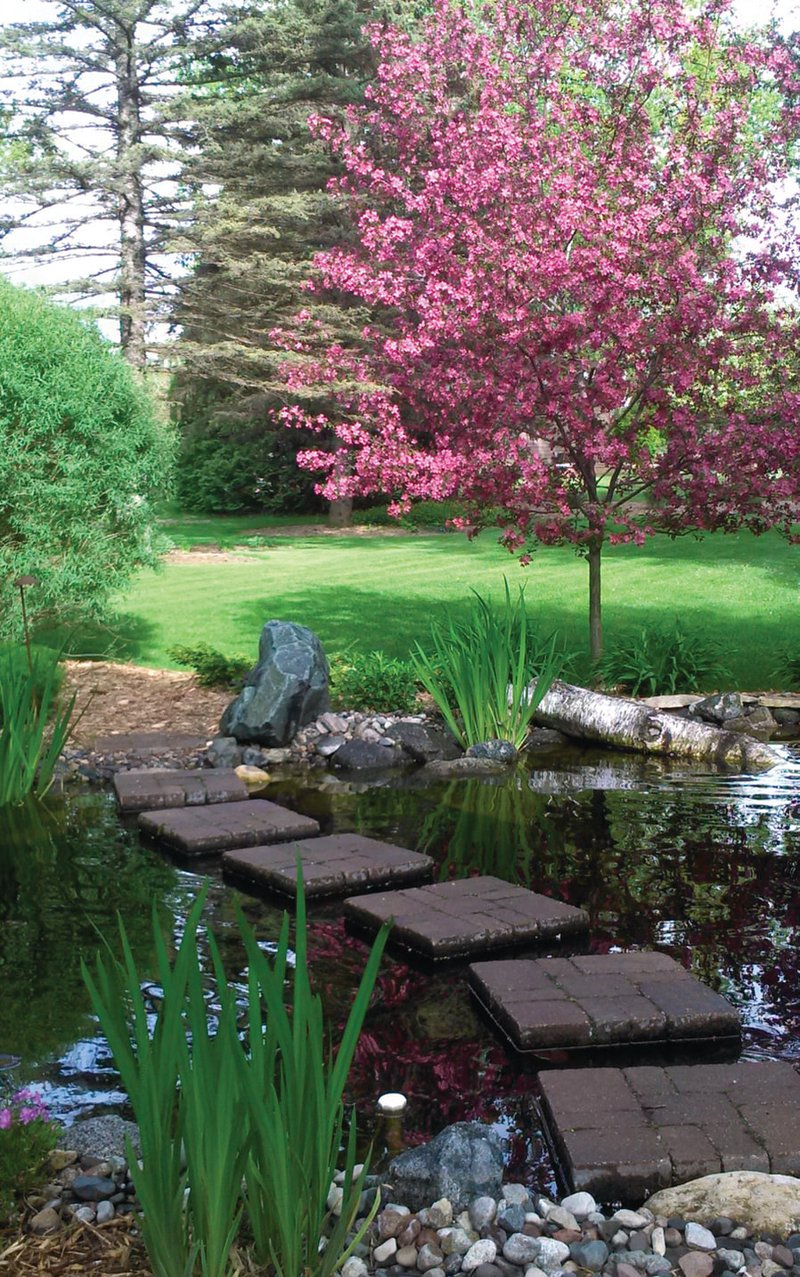 Water Gardening Inspiration preview 12