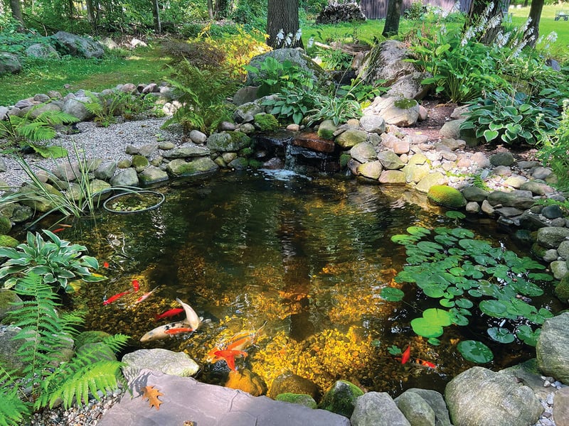 Water Gardening Inspiration preview 14