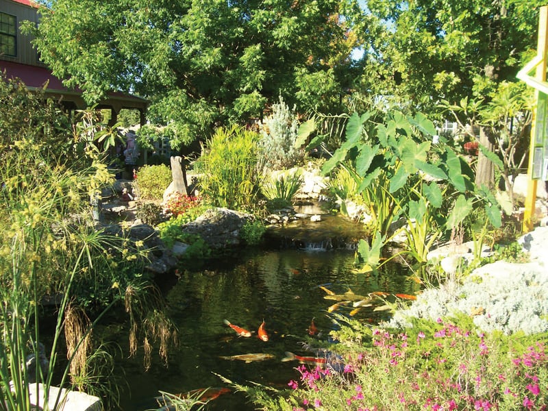 Water Gardening Inspiration preview 15