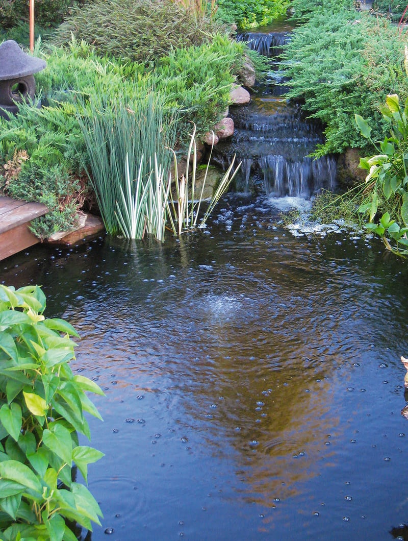 Water Gardening Inspiration preview 2