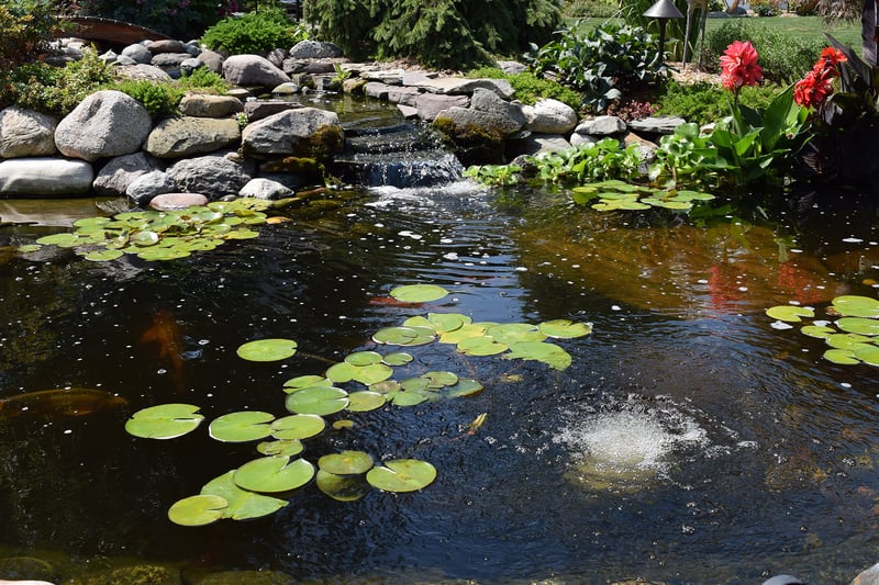 Water Gardening Inspiration preview 3