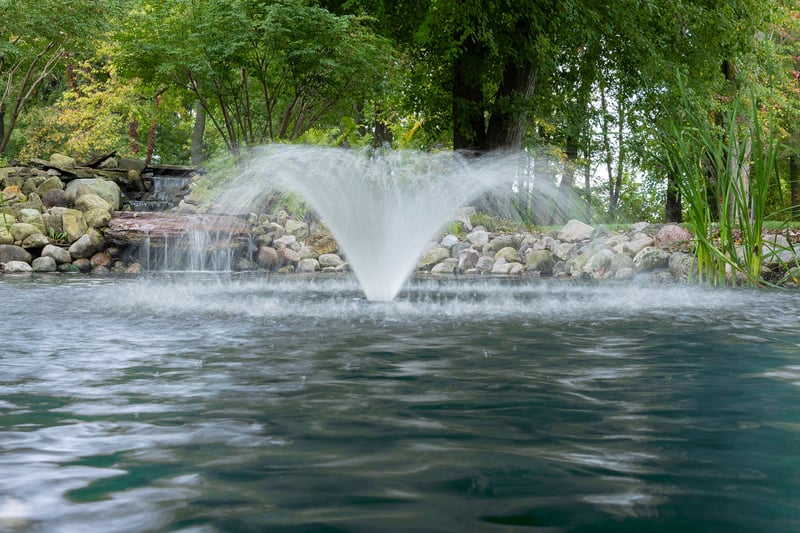Water Gardening Inspiration preview 4