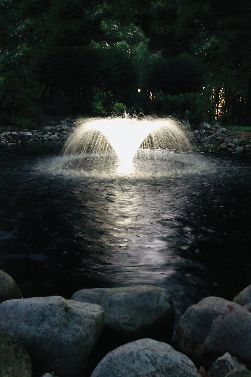 Water Gardening Inspiration preview 5