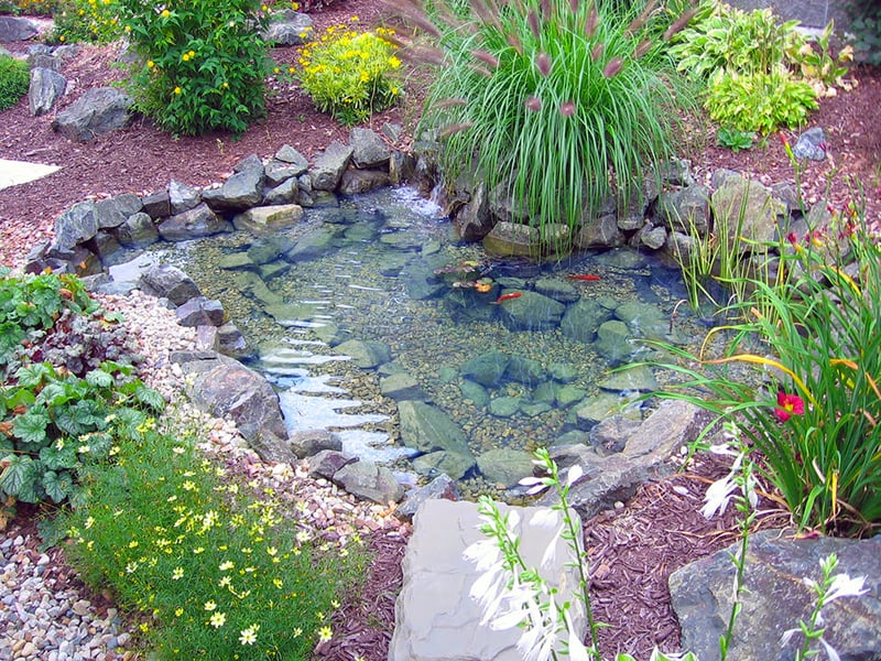 Water Gardening Inspiration preview 7