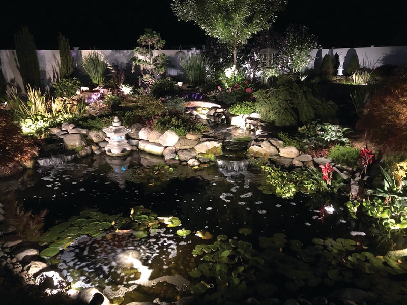 Water Gardening Inspiration preview 8