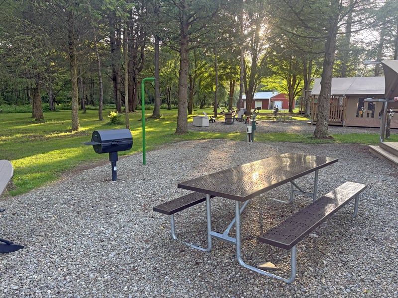Bison Trace Luxury Camping