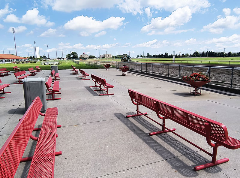 Horse Racetrack preview 5