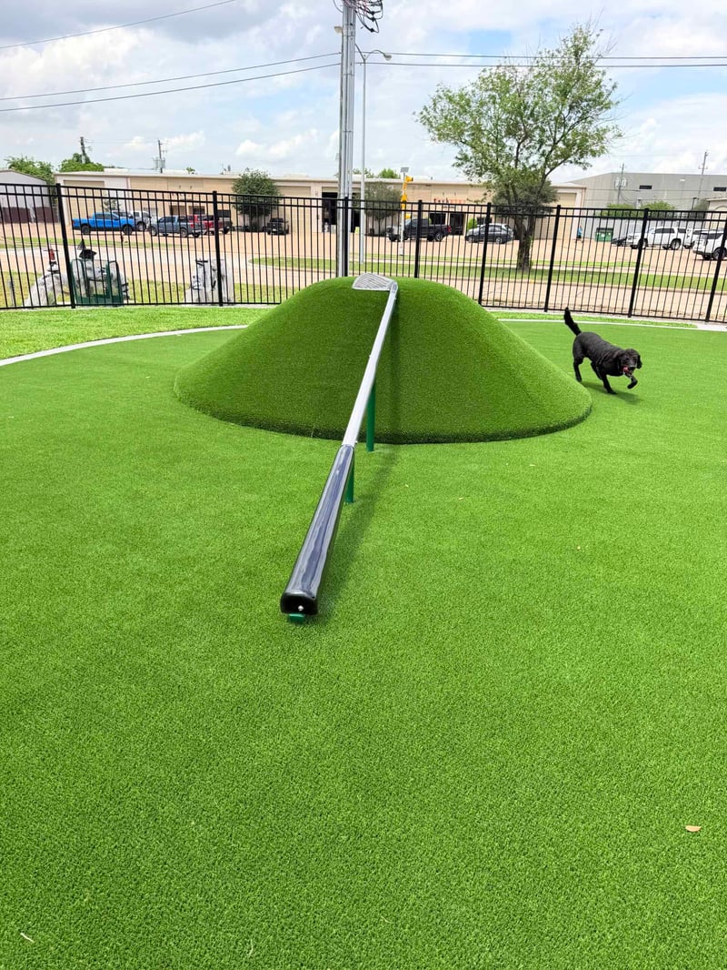 Dog Park – Deer Park preview 9