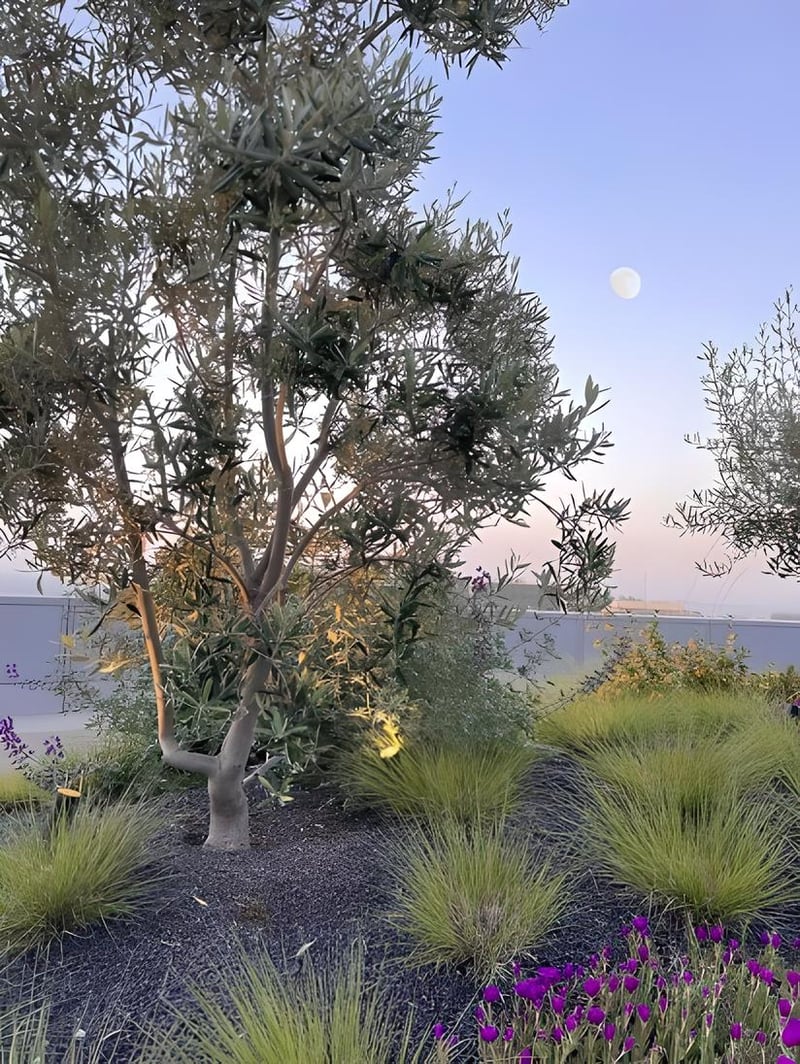 Life Sciences Research Lab Rooftop preview 5