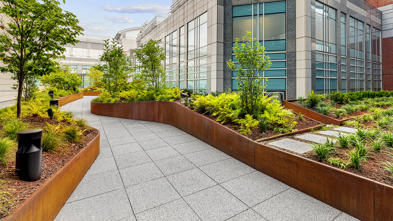 The Healing Power of Nature: Anderson & Desimone Healing Garden