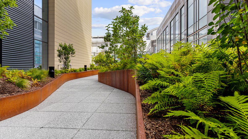 The Healing Power of Nature: Anderson & Desimone Healing Garden preview 2