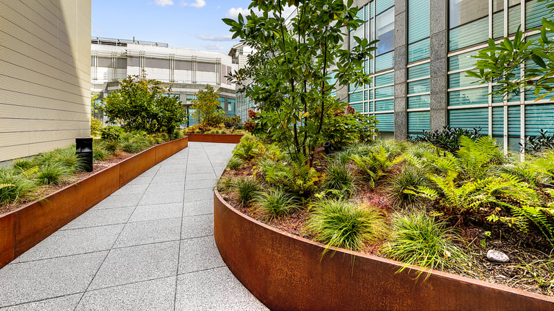 The Healing Power of Nature: Anderson & Desimone Healing Garden preview 3