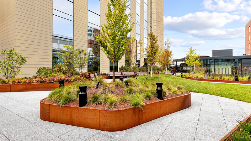 The Healing Power of Nature: Anderson & Desimone Healing Garden preview 5