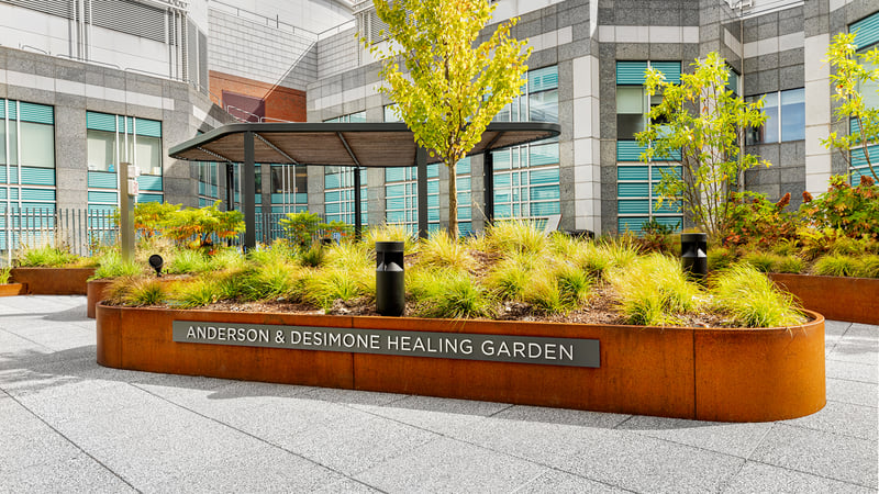 The Healing Power of Nature: Anderson & Desimone Healing Garden preview 6