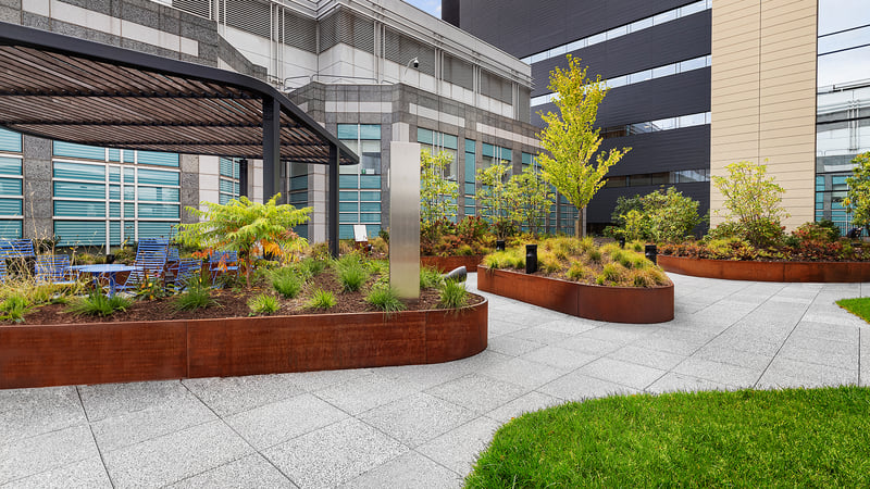 The Healing Power of Nature: Anderson & Desimone Healing Garden preview 7
